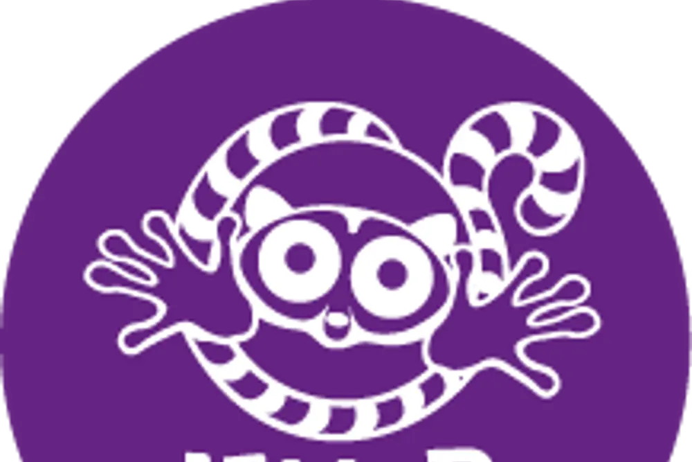 Lemur Landings Soft Play