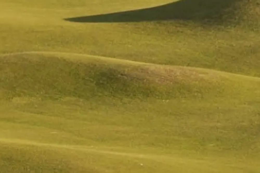 Himalayas Putting
