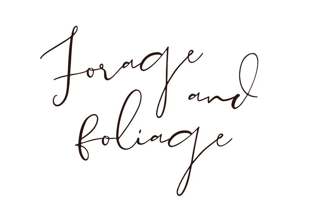 Forage and Foliage Ltd