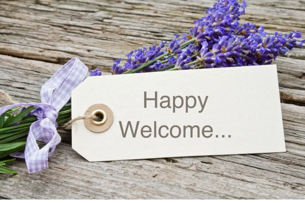 Westoe Florists