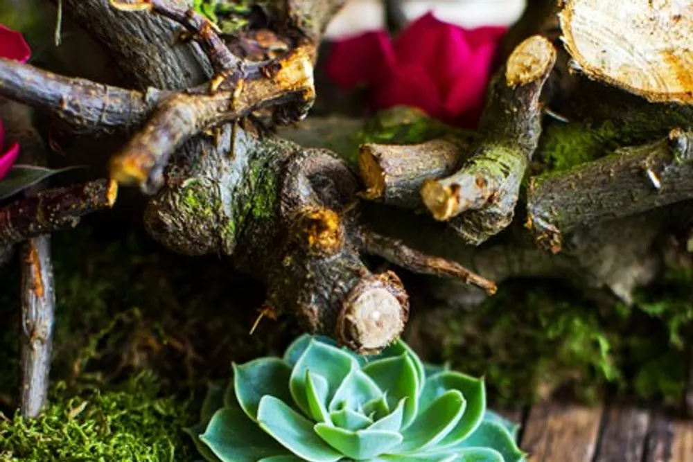 Wild Floral Events