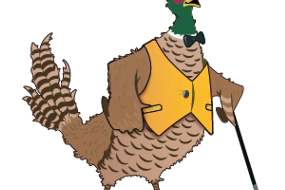 Frisky Pheasant Ltd