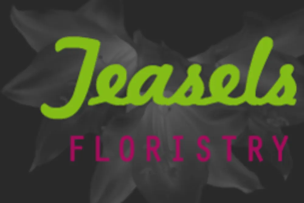 Teasels The Florist