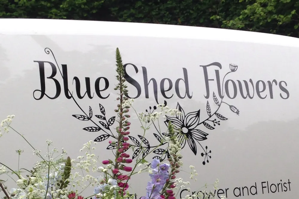 Blue Shed Flowers